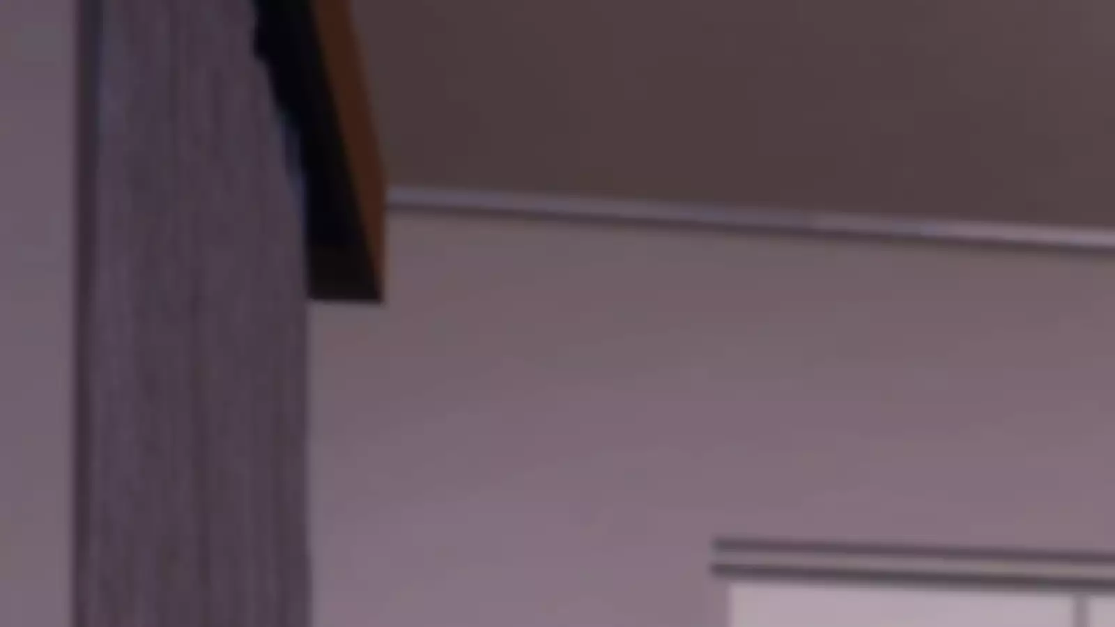 Niizuma Moto Gal wa Netorareru