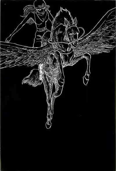 Gekiga Yapoo Koufuku