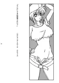 [GLAMOUR WORKS (Shadi Biin)] Lunamari Nikki (Gundam Seed Destiny)