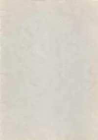 (C36) [LUNA INDUSTRIA (Horikawa Gorou)] Injokurei -Fujin Keikan Menyou Hon "Han-Kan-Rin" Bessatsu-