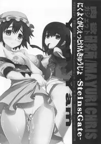 (C80) [Yan-Yam] Nikuyoku Gadget Kenkyuujo (Steins;Gate)