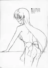 [Raiden Yashiki] Meer Special (Kidou Senshi Gundam SEED DESTINY / Mobile Suit Gundam SEED DESTINY