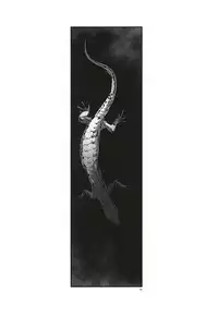 (Sakamichi Climb! Sapporo 5) [hi-ha! (H*anal)] Sakasama Ookami Gekirin ni Kiss [Jo] (Yowamushi Pedal)