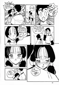 [Oiwaidou] PREY OF BIRD (Dragon Ball)