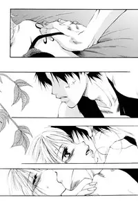 [AOKAGUMI (Ohmi Juri)] Kirara | Angels' Distress (One Piece) [English] [Kusanyagi]