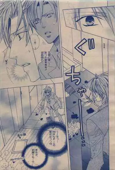 BE・BOY GOLD 2009-12