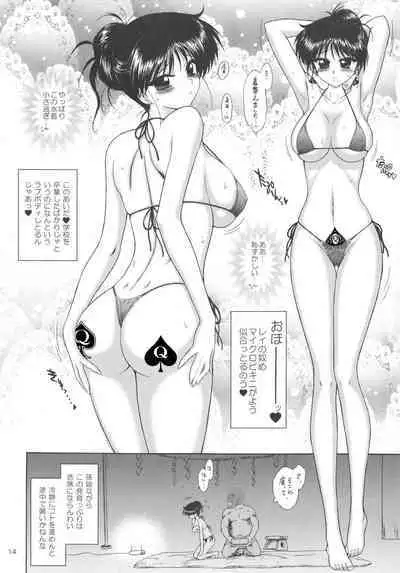 QUEEN OF SPADES - 黑桃皇后