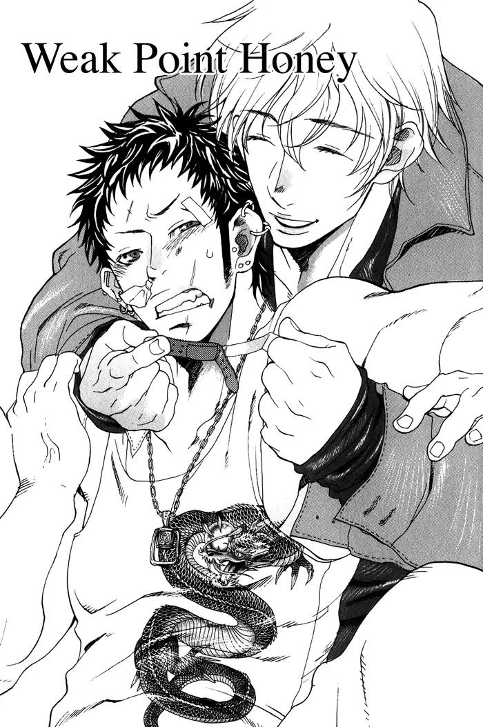 Giocatore, Hokaku Keikaku