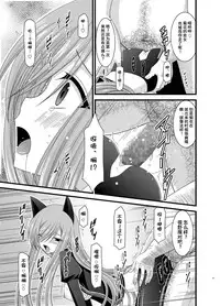 (C78) [valssu (Charu)] Melon ga Chou Shindou! R4 (Tales of the Abyss) [Chinese] [流星汉化]