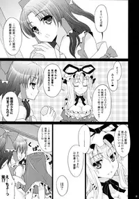 (C81) [Kanmi Ningyou (Katagiri Chisato)] Yakumo Shiki Kanyuu Hou (Touhou Project)