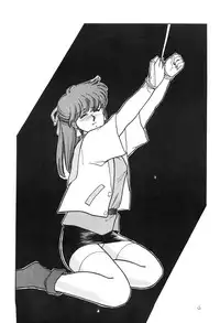 (C35) [Secret Society M (Kitahara Aki)] ANICE - Toki no Hanataba (Sonic Soldier Borgman)