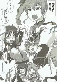 (C92) [STROLL IN THE WOODS !! (ELF)] Shinu yori Hidoi Naiyou no Kansoubon (Mahou Shoujo Lyrical Nanoha)