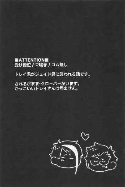 Bat Cat arond Trip．