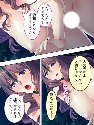 DO MAZO na Tomodachi no Haha to Yokubou no Mama ni Tsukisusumu! Soushuuhen