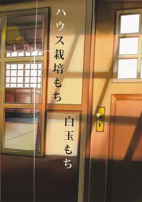 Shiawase no Koufun o Futari de