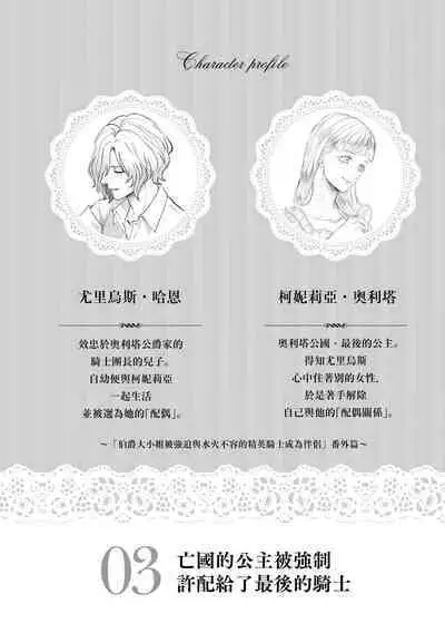 bōkoku no hime wa saigo no kishi to kyōsei-teki ni tsugai ni sa se rareru | 亡国的公主被强制许配给了最后的骑士