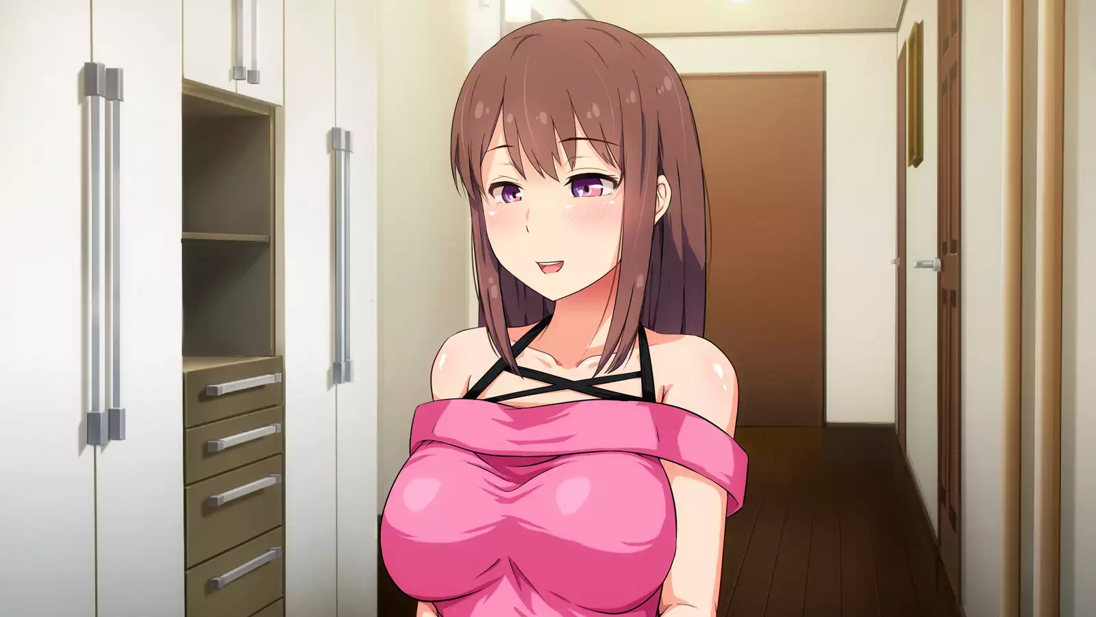 Niizuma Moto Gal wa Netorareru