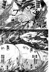 [Fue] フェラピュア[chinese]