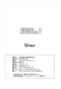 (C92) [ILD CAT (Yaneko Uta)] Amami Haruka no Hentai Ikusei Nikki 3 (THE IDOLM@STER)