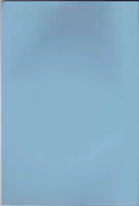 (C65) [Tax inn (Kisu Yoshimitsu)] FALLEN (Bleach) [English]