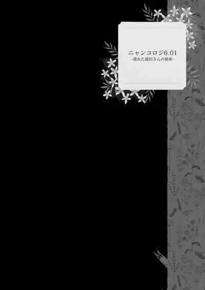 Nyancology Soushuuhen 2