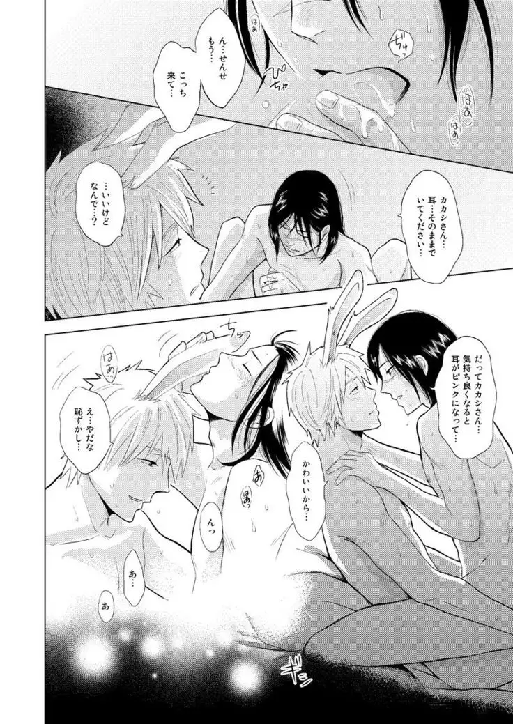 Konoha Kinboshi Doori no Shoukei