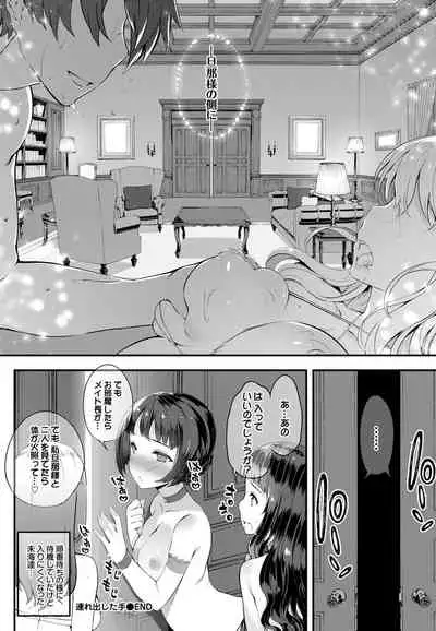 Nikutai Gohoushi ga Daisukikei Maid Vol.2