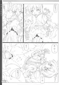 (C74) [Testa Kitchen (Testa)] Kyoni Kousen (Ragnarok Online)