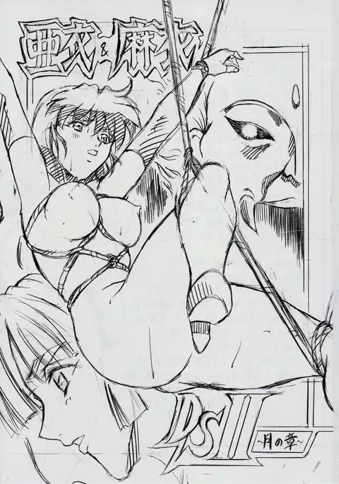 AI&MAI DSII ~Tsuki no Shou~