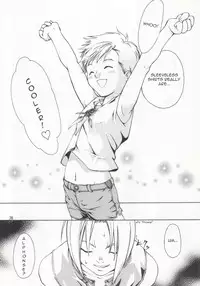 (FMA) Glamour in Pink {eng} (yaoi)