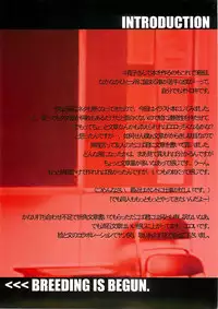 (C66) [kashiwa-ya (hiyo hiyo)] BREEDING (buso renkin)