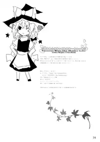 (C76) [39xream, TRICK&TREAT (Suzume Miku, Matsushita Yuu)] Marisa holic na Summer Wars ~Summer Wars like Marisa holic~ (Touhou Project) [English] {pesu}