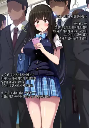 Chikan Taiken Kokuhaku