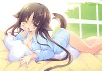 (COMITIA96) [Otomekibun (Sansyoku Amido.)] Watashi no Goshujinsama