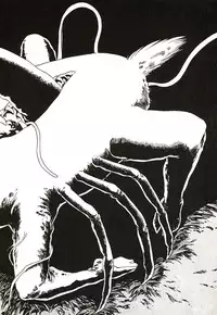 [Watanabe Yoshimasa] Midnight Program