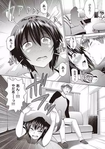 [DISTANCE] Hinata Hinata plus [Digital Tokusouban] [Digital]