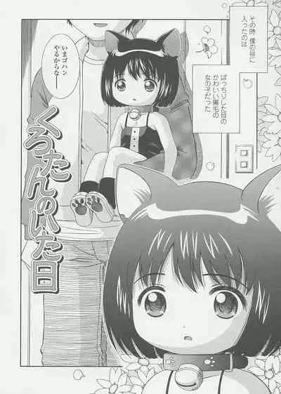 Miseijuku Shoujo Zukan