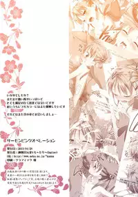 (COMIC1☆7) [Rotary Engine (Kannazuki Motofumi)] Salmon Pink Operation (Vividred Operation)