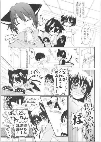 [RxA Supremacist (Yagami Raimu, Morisaki Yoshino, Kisaragi Mizuka)] Iinazuke ga Neko ni Narimashite. (Ranma 1/2)