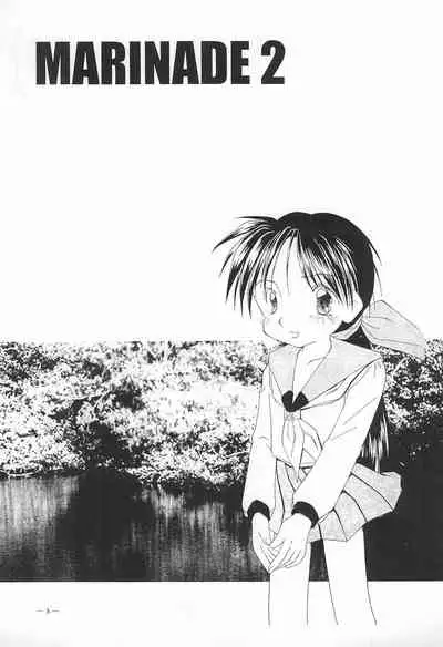 MARINADE 2