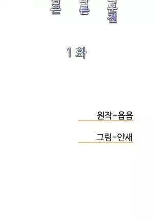 Chauffeur Service Ch.1-30.5