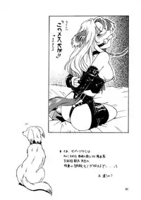 (C54) [.30-06 (Tsutsumi Akari)] CAZA MAYOR 3