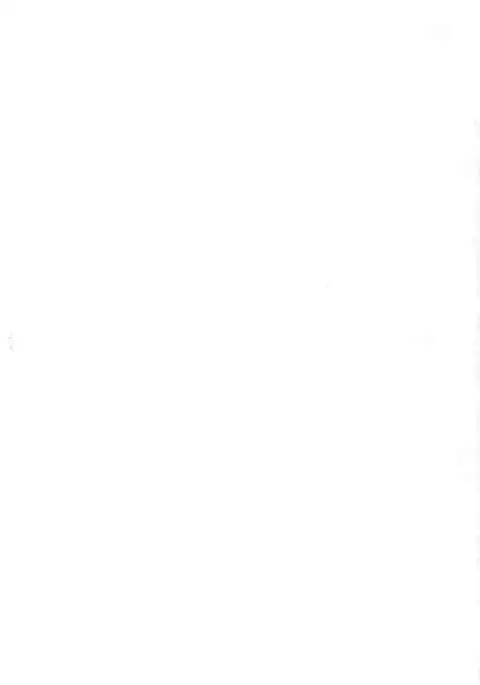 Shiawase Usagi no Shiawase