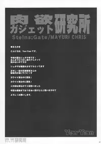 (C80) [Yan-Yam] Nikuyoku Gadget Kenkyuujo (Steins;Gate)