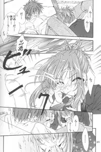 (C60) [VENOM, I'LL Chou (Various)] EDEN (Sister Princess)