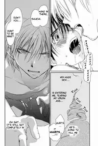 [CROCODILE-Ave. (Gangstar Yoshio)] Megamix Gravitation Hiyoko (Gravitation) [English] [Kumagoro Scanlations]