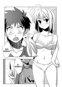 (C78) [CROSS FIRE (Azu)] Fate/fireworks (Fate/stay night) [English] [Life4Kaoru]