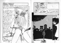 [Shin Tsuguru] Physical Flapper