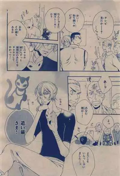 BE・BOY GOLD 2009-12