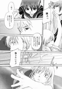 COMIC Megastore 2005-06